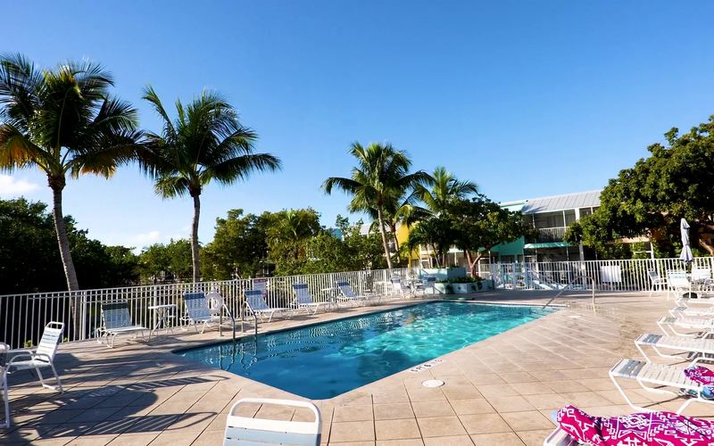 Pool deck with palms